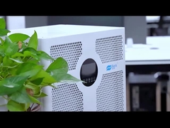 D03A-VIDEO principal